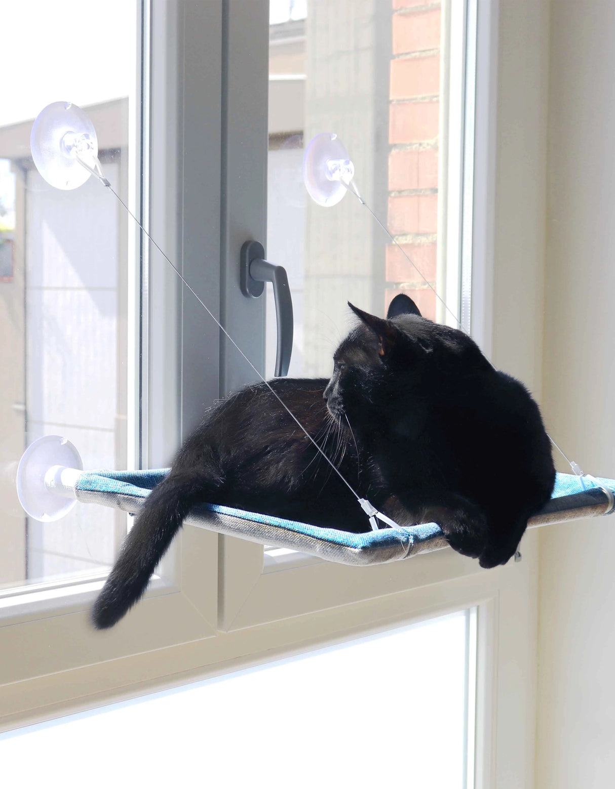 United Pets Milano ikkunapeti kissalle, 37 x 47 x 3 cm, sininen