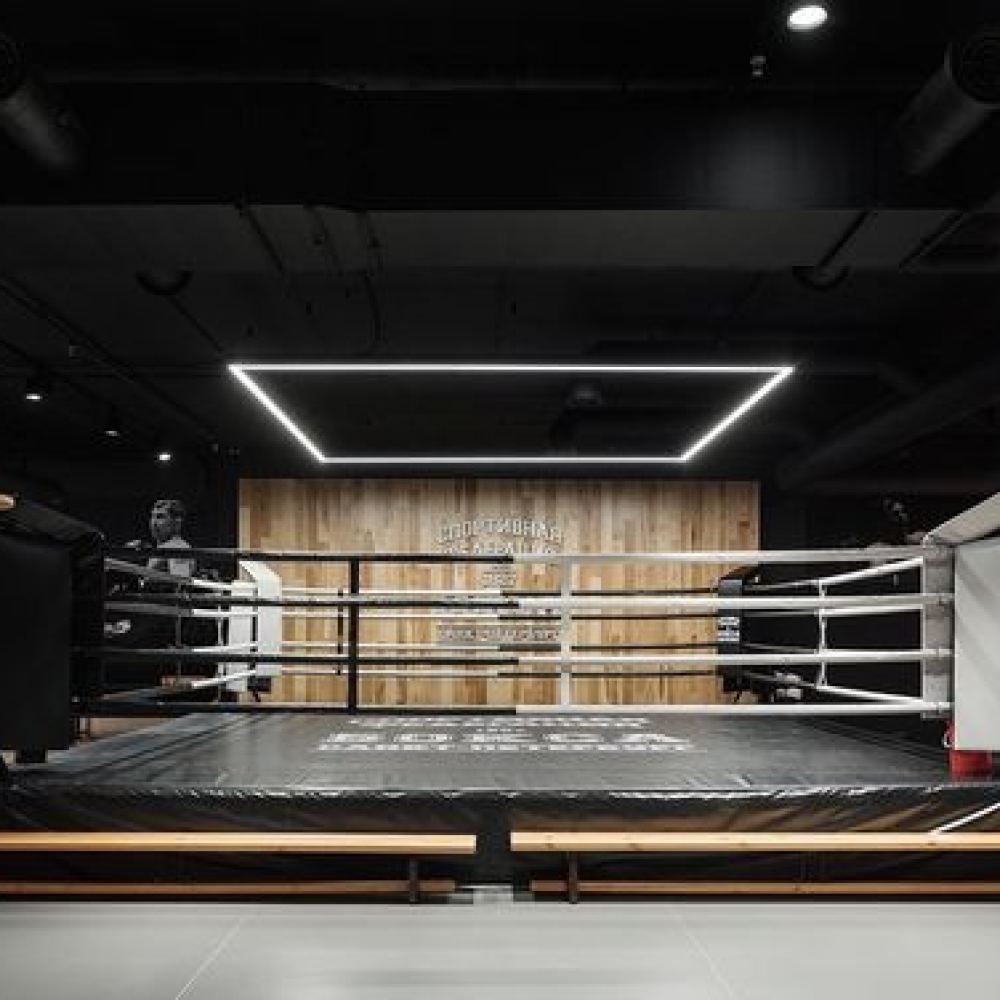 LED light panel 2400 x 4800 mm