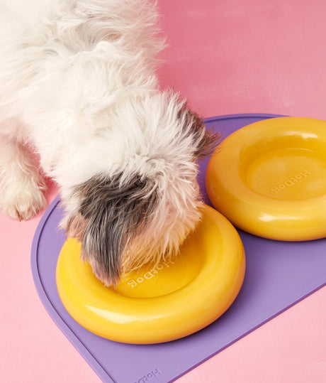 HotDog Pets keraaminen ruokakuppi koiralle, keltainen