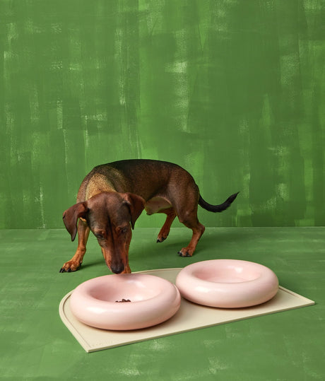 HotDog Pets keraaminen ruokakuppi koiralle, pinkki